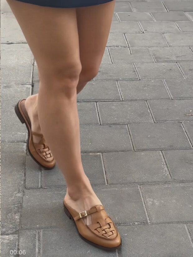 סוואנה קאמל