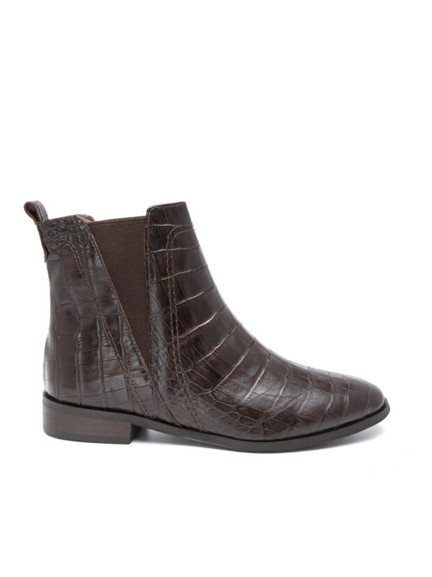 הולי _חום (2)