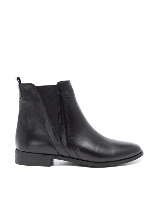 הולי_שחור_2 הולי_שחור_2